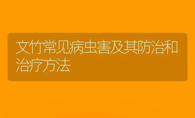 文竹常见病虫害及其防治和治疗方法 | 家庭养花