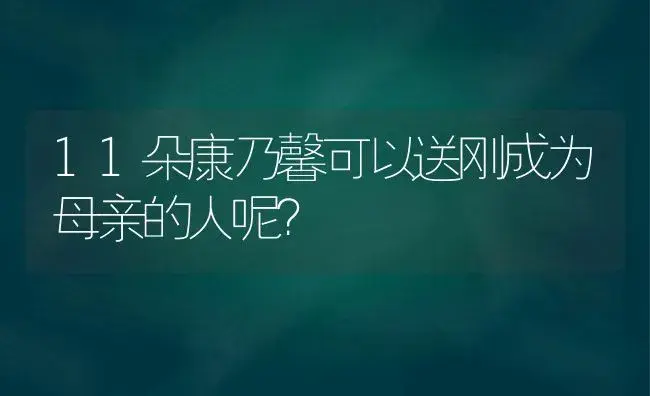 11朵康乃馨可以送刚成为母亲的人呢？ | 绿植常识