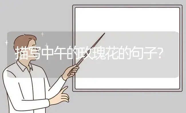 描写中午的玫瑰花的句子？ | 绿植常识