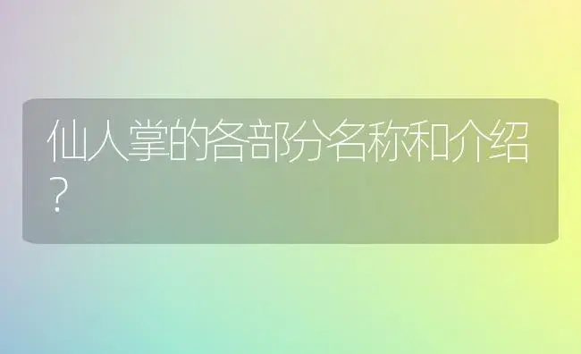 仙人掌的各部分名称和介绍？ | 多肉养殖