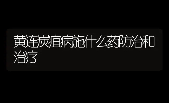 黄连炭疽病施什么药防治和治疗 | 药材种植