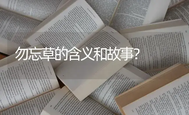 勿忘草的含义和故事？ | 绿植常识