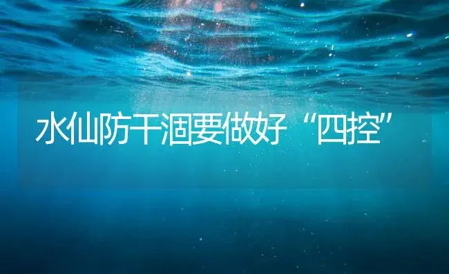 水仙防干涸要做好“四控” | 家庭养花