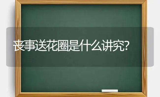 丧事送花圈是什么讲究？ | 绿植常识