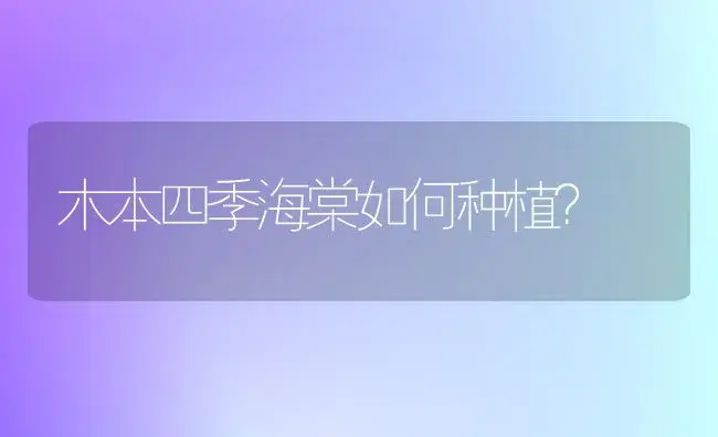 木本四季海棠如何种植？ | 绿植常识