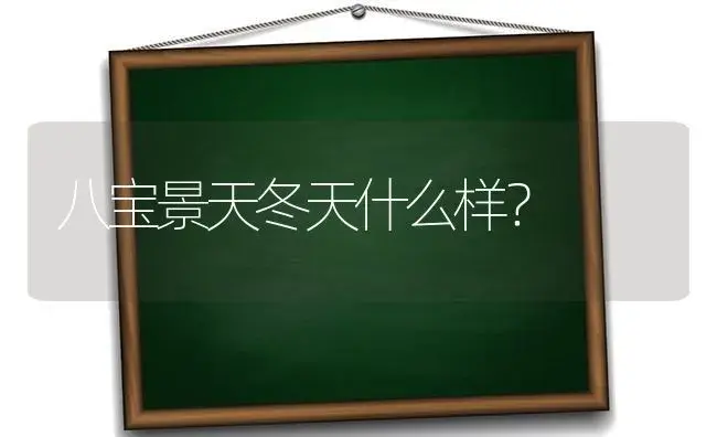 八宝景天冬天什么样？ | 多肉养殖