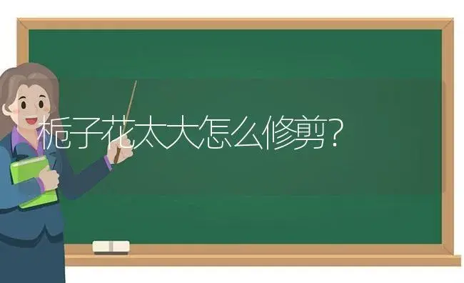 栀子花太大怎么修剪？ | 绿植常识