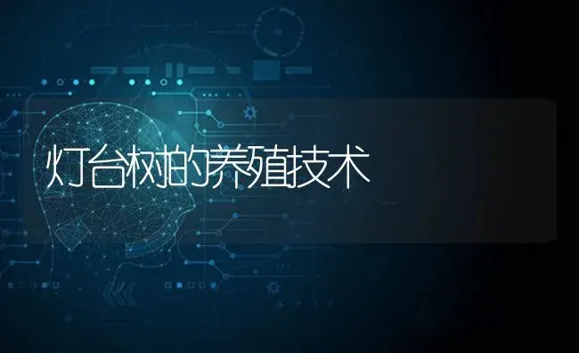 灯台树的养殖技术 | 特种种植