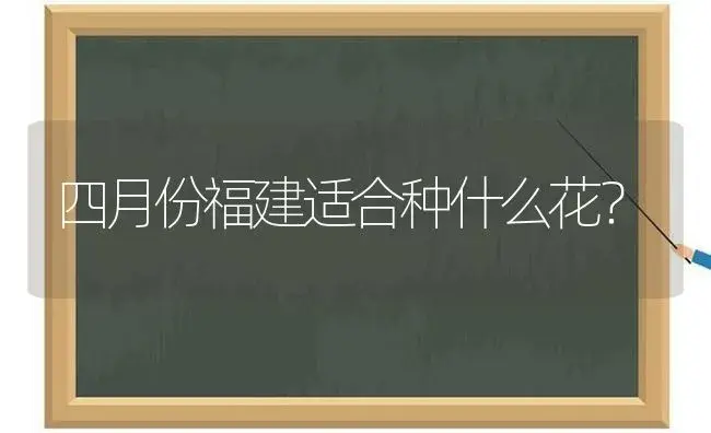 四月份福建适合种什么花？ | 绿植常识