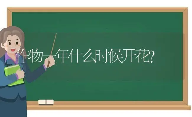 作物一年什么时候开花？ | 绿植常识