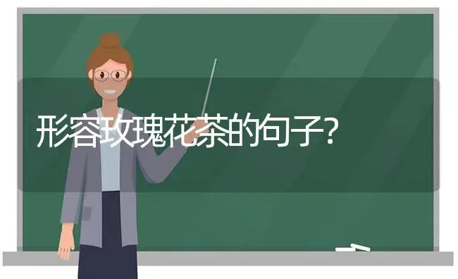 形容玫瑰花茶的句子？ | 绿植常识