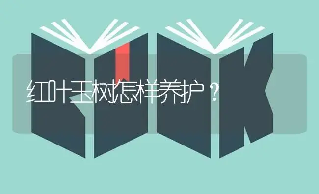 红叶玉树怎样养护？ | 多肉养殖