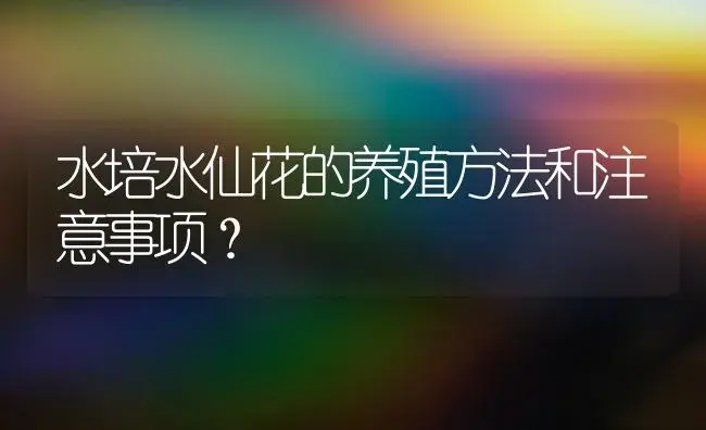 水培水仙花的养殖方法和注意事项？ | 绿植常识