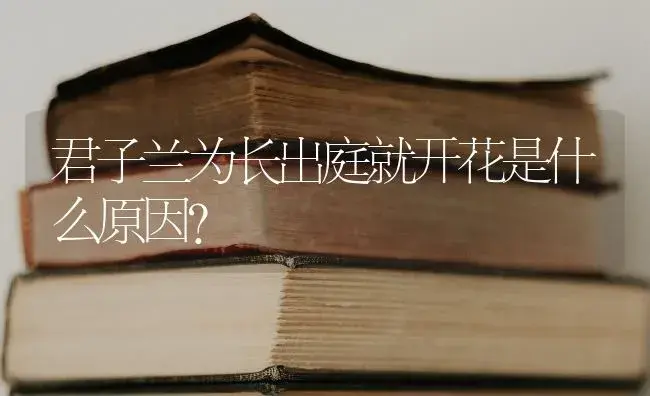 君子兰为长出庭就开花是什么原因？ | 绿植常识