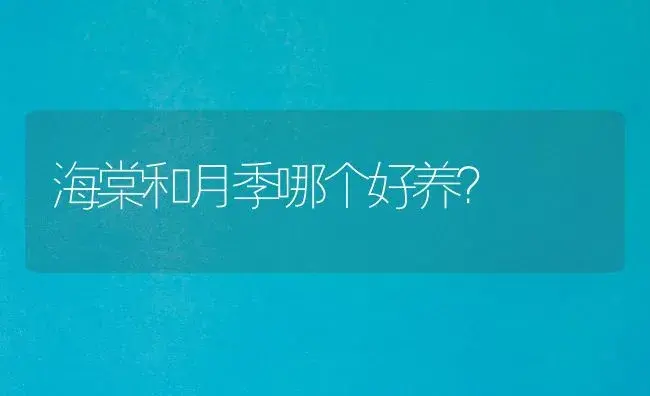 海棠和月季哪个好养？ | 绿植常识