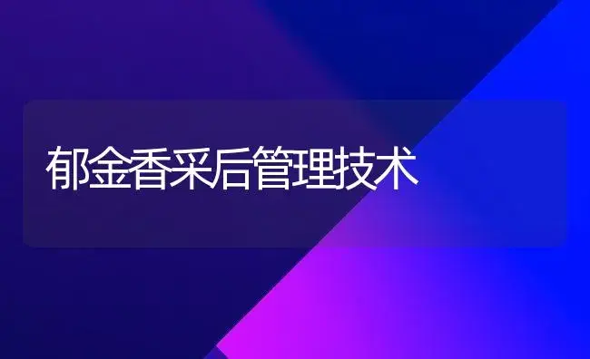 郁金香采后管理技术 | 家庭养花