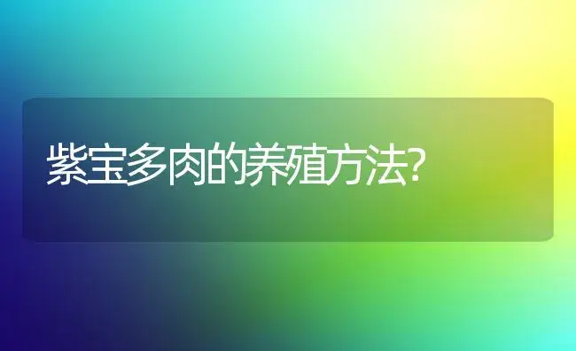 紫宝多肉的养殖方法？ | 多肉养殖