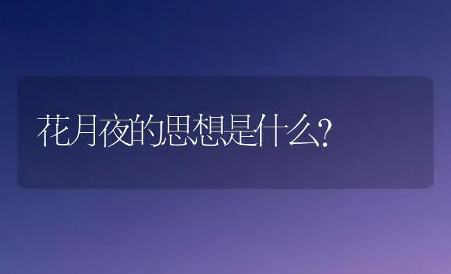 花月夜的思想是什么？ | 多肉养殖