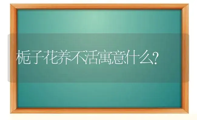 栀子花养不活寓意什么？ | 绿植常识