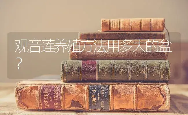 观音莲养殖方法用多大的盆？ | 多肉养殖