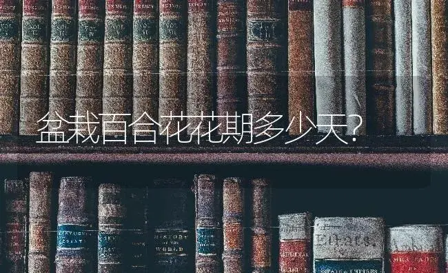 带有风信子含义的英文名有哪些？ | 绿植常识