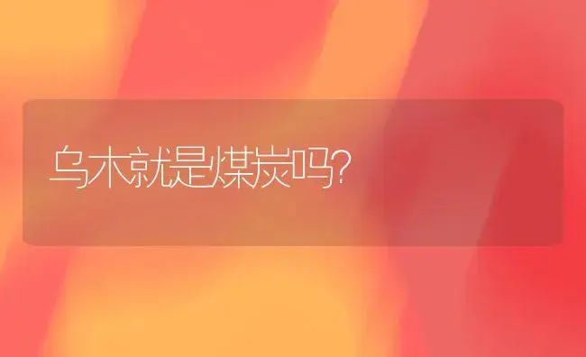 乌木就是煤炭吗？ | 多肉养殖