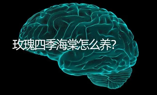 玫瑰四季海棠怎么养？ | 绿植常识