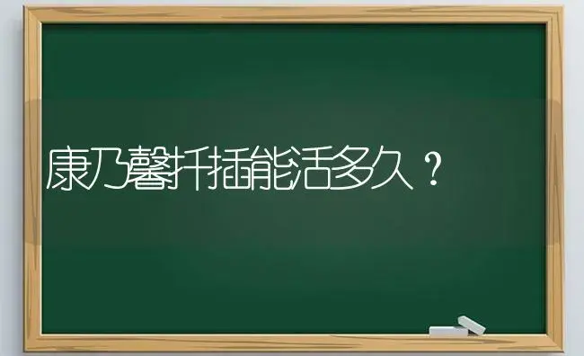 康乃馨扦插能活多久？ | 绿植常识