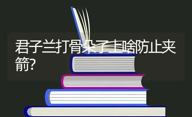 君子兰打骨朵了上啥防止夹箭？ | 绿植常识