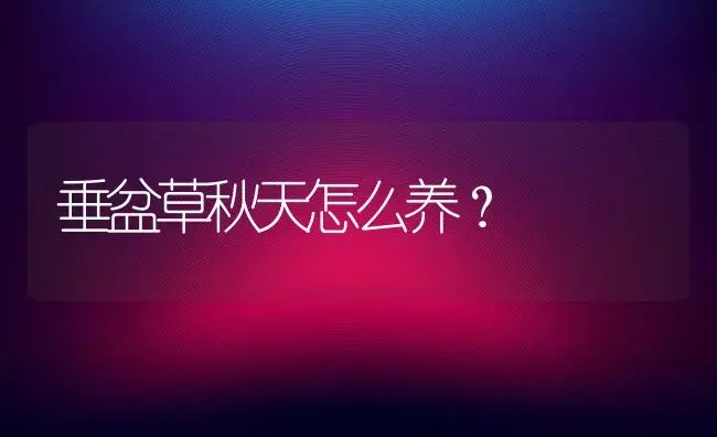 垂盆草秋天怎么养？ | 多肉养殖