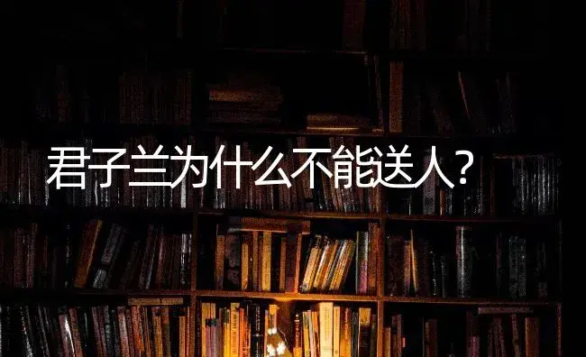 君子兰为什么不能送人？ | 绿植常识