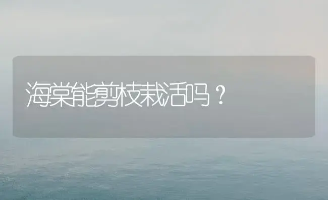 海棠能剪枝栽活吗？ | 绿植常识