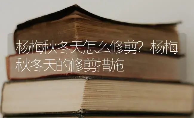 杨梅秋冬天怎么修剪？杨梅秋冬天的修剪措施 | 果木种植