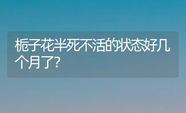 栀子花半死不活的状态好几个月了？ | 绿植常识