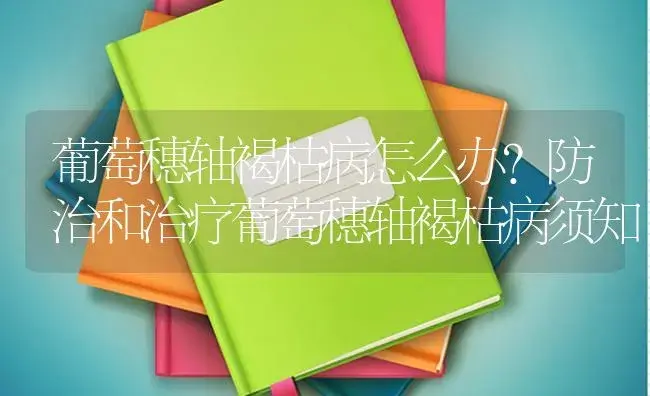 葡萄穗轴褐枯病怎么办？防治和治疗葡萄穗轴褐枯病须知 | 果木种植