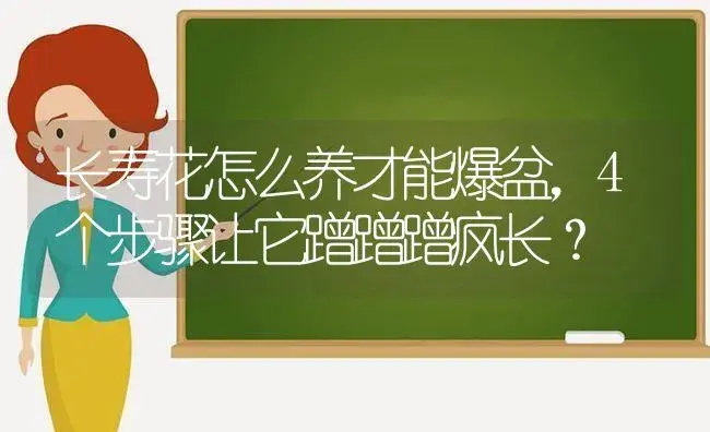 长寿花怎么养才能爆盆,4个步骤让它蹭蹭蹭疯长？ | 多肉养殖