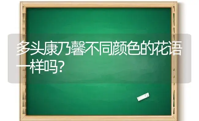 多头康乃馨不同颜色的花语一样吗？ | 绿植常识