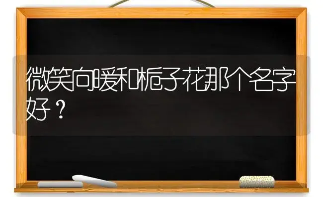 微笑向暖和栀子花那个名字好？ | 绿植常识