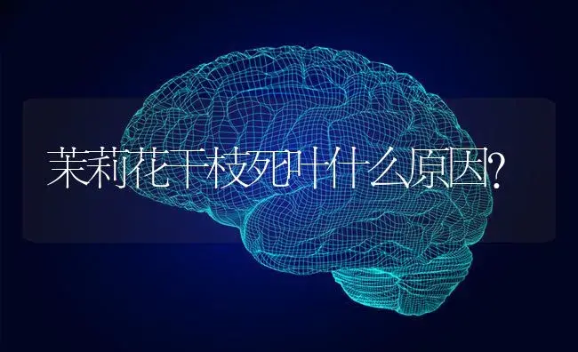 蝴蝶兰换盆后叶子变软怎么回事？ | 绿植常识