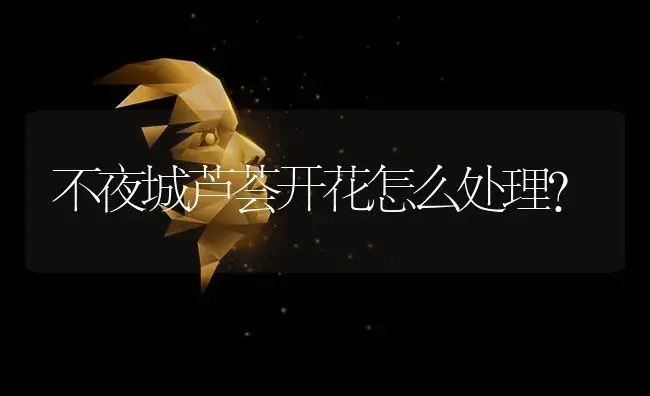 不夜城芦荟开花怎么处理？ | 多肉养殖