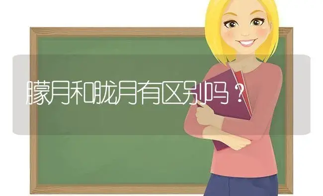 朦月和胧月有区别吗？ | 多肉养殖