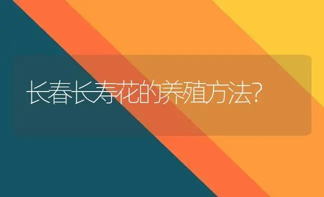 长春长寿花的养殖方法？ | 多肉养殖