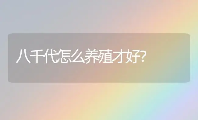 八千代怎么养殖才好？ | 家庭养花