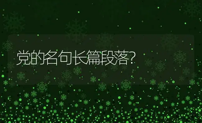 康乃馨小苗可以断头吗？ | 绿植常识