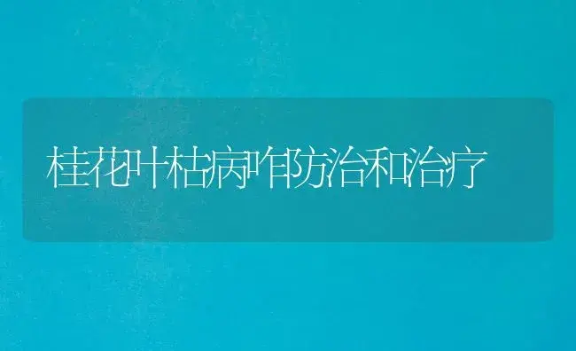桂花叶枯病咋防治和治疗 | 家庭养花