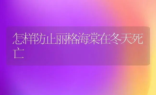 怎样防止丽格海棠在冬天死亡 | 家庭养花