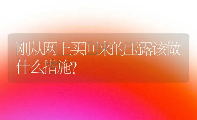 刚从网上买回来的玉露该做什么措施？ | 多肉养殖