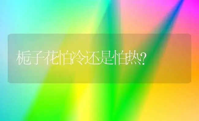 栀子花怕冷还是怕热？ | 绿植常识