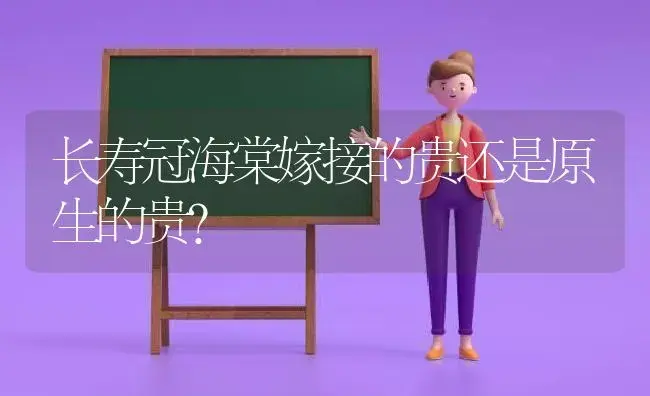 长寿冠海棠嫁接的贵还是原生的贵？ | 绿植常识