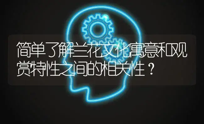 简单了解兰花文化寓意和观赏特性之间的相关性？ | 绿植常识